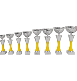 AK 5765 MOOIE LANGE SERIE 8 MATEN ZILVER -GEEL 26-36 cm