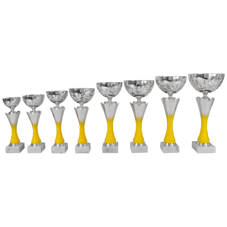 AK 5765 MOOIE LANGE SERIE 8 MATEN ZILVER -GEEL 26-36 cm