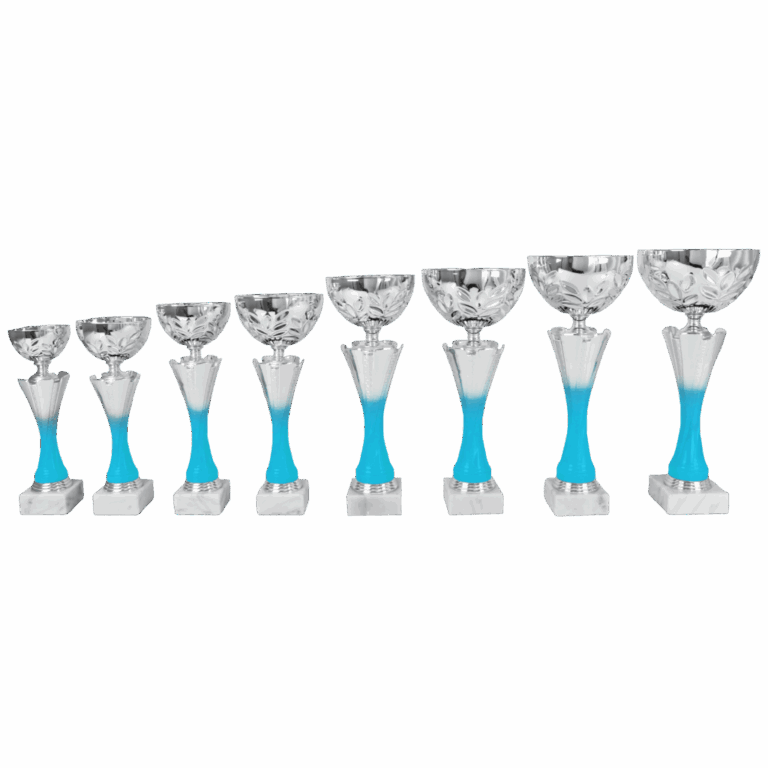 AK 5771 MOOIE LANGE SERIE 8 MATEN ZILVER -BLAUW 26-36 cm