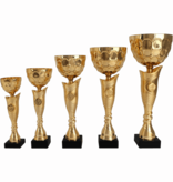 AK 5821 SERIE  GOUD IN 5 MATEN 27.5-42.5 CM