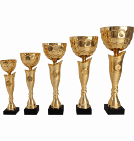 AK 5821 SERIE  GOUD IN 5 MATEN 27.5-42.5 CM