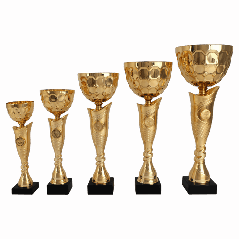 AK 5821 SERIE  GOUD IN 5 MATEN 27.5-42.5 CM