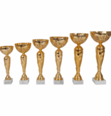 AK 6011 GOUDKLEURIGE SERIE 6 MATEN 27.5-41.5 CM