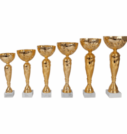 AK 6011 GOUDKLEURIGE SERIE 6 MATEN 27.5-41.5 CM