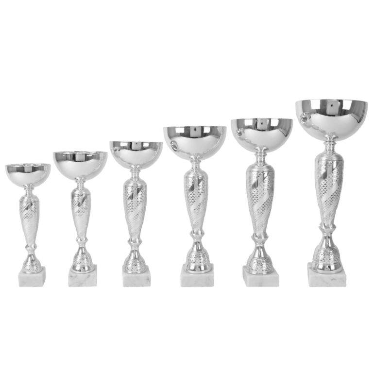 AK 6012 ZILVERKLEURIGE SERIE 6 MATEN 27.5-41.5 CM