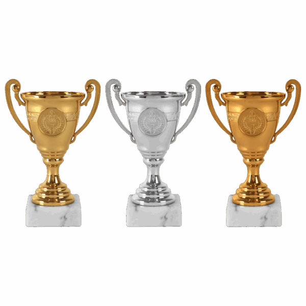 AR 1001 Moderne trofee in go-zil-bro  14.5 Cm