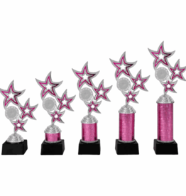 AR 1016 STANDAARD "STER" ROZE-ZILVER 5 MATEN 18.5-28.5 CM