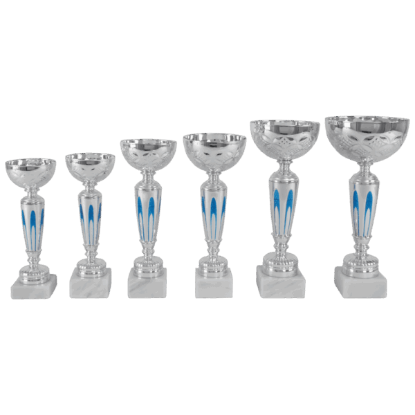 AR 1065 BEKER BLAUW-ZILVER 6 MATEN 19.5-26.5 CM