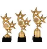 AR 1073 STANDAARD "STER" GOUDKLEUR 3 MATEN 18.5-22.5 CM