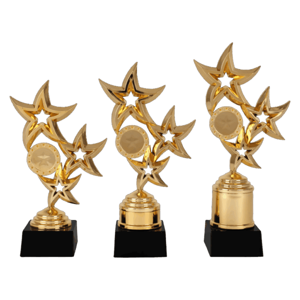 AR 1073 STANDAARD "STER" GOUDKLEUR 3 MATEN 18.5-22.5 CM