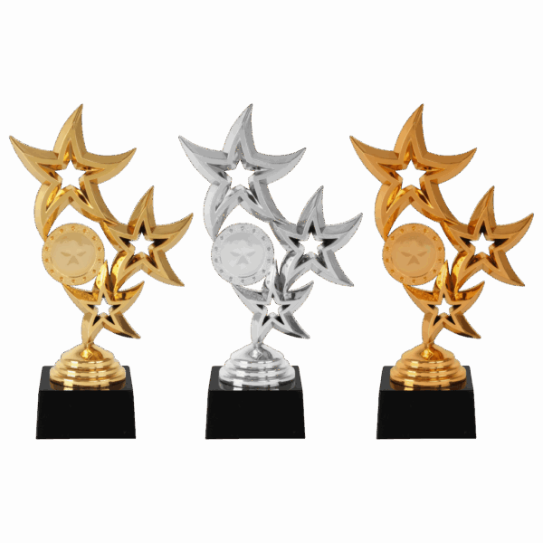 AR 1101   STANDAARD "STER" GO-ZIL-BRO 1 MAAT 18.5 CM