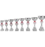 AR 1421 MOOIE LANGE SERIE 8 MATEN ZILVER -ROOD  20.5-29 CM