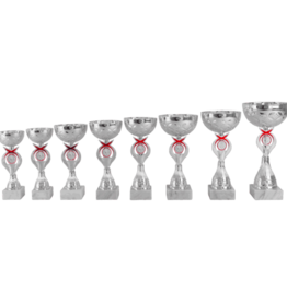 AR 1421 MOOIE LANGE SERIE 8 MATEN ZILVER -ROOD  20.5-29 CM