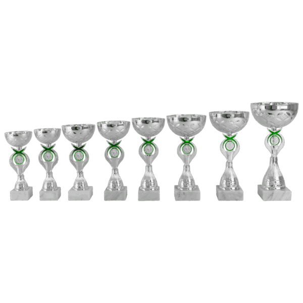 AR 1439 MOOIE LANGE SERIE 8 MATEN ZILVER -GROEN 20.5-29 CM