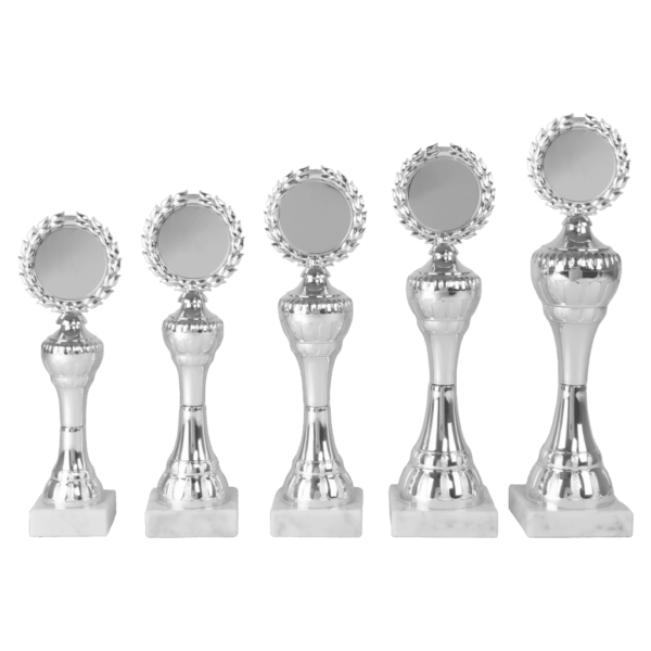 AS 3075 SERIE  ZILVER IN 5 MATEN 22.5-29.5 CM