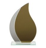 GOLDY GLAS AWARD GOUD-SPIEGEL 15.5 CM