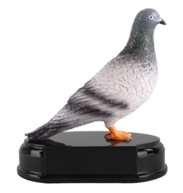 R 2631   Duif  15 cm