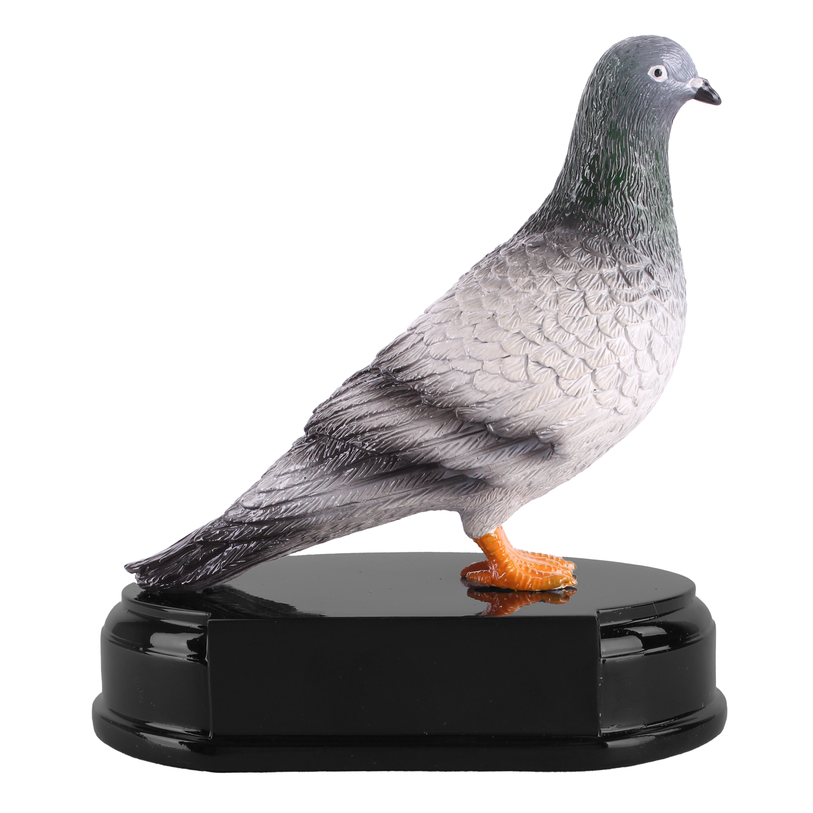 R 2631   Duif  15 cm