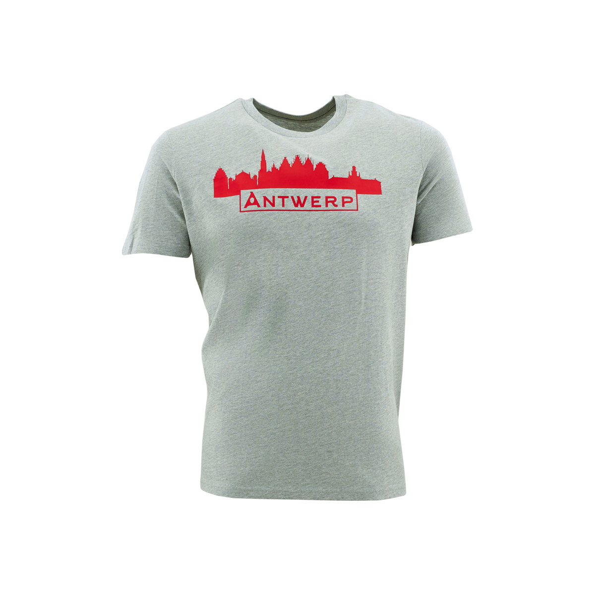T-shirt grijs RAFC Skyline Antwerp-2