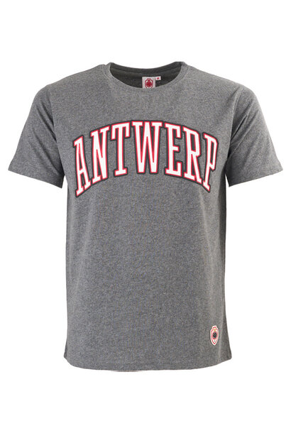 T-shirt Grijs Antwerp