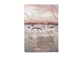 Zo! Home Tara Plaid  Multi 140x200