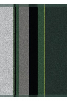 DDDDD keukendoek rico 50x55  green