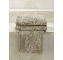 De Witte Lietaer gastendoek Excellence 40x60 taupe
