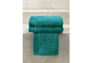 De Witte Lietaer serviette de toilette Excellence 40x60 vert lac