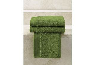 De Witte Lietaer serviette de toilette Excellence 40x60 cactus