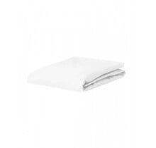 Essenza Premium Percale Topper Fitted Sheet 160x200 White