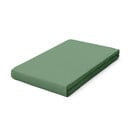 Schlafgut Schlafgut Pure Jersey Topper Hoeslaken XL - 180x200 - 200x220 665 Green Mid