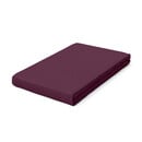 Schlafgut Schlafgut Pure Jersey Topper Fitted Sheet S - 90x190 - 100x220 542 Purple Deep