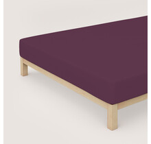 Schlafgut Pure Jersey Hoeslaken XL - 180x200 - 200x220 542 Purple Deep