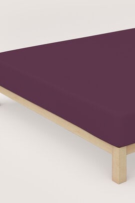 Schlafgut Drap-housse en jersey pur XL - 180x200 - 200x220 542 Purple Deep