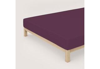 Schlafgut Drap-housse en jersey pur XL - 180x200 - 200x220 542 Purple Deep