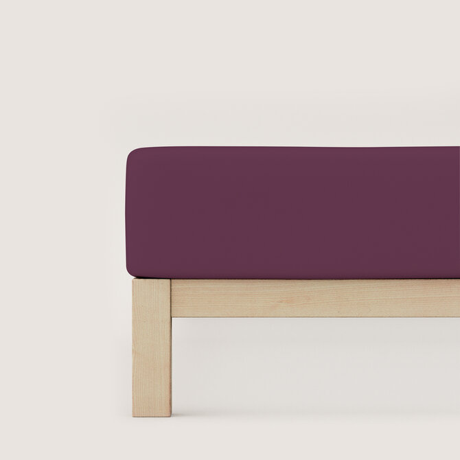 Schlafgut Pure Jersey Hoeslaken L - 140x200 - 160x220 542 Purple Deep