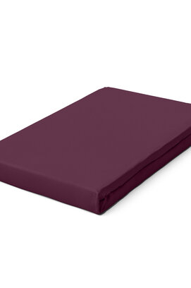 Schlafgut Pure Jersey Hoeslaken L - 140x200 - 160x220 542 Purple Deep