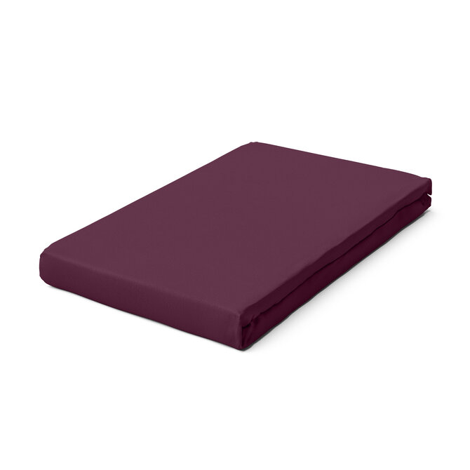 Schlafgut Drap-housse en jersey pur L - 140x200 - 160x220 542 Purple Deep