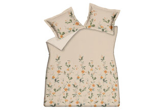 Vandyck Untouched  Apricot Blush Kussensloop (60x70)