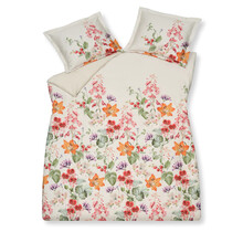 Vandyck Mindblowing Multi Taie d'oreiller (60x70)