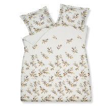 Vandyck Happy Latte Taie d'oreiller (60x70)