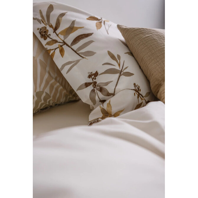 Vandyck Happy Latte Taie d'oreiller (60x70)