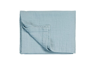 Vandyck Pure 68 G.Dyed  Powder Blue Plaid 160x250