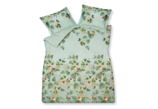 Vandyck Housse de couette Fruit Garden vert clair Lits-jumeaux (240x200/220)