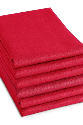 DDDDD torchon logo 60x65cm rouge