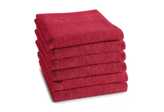 DDDDD keukendoek logo 50x55cm red