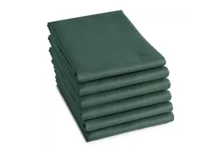 DDDDD theedoek logo 60x65cm green