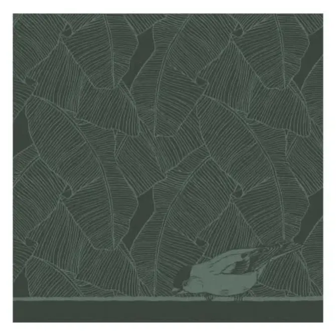 DDDDD torchon oiseau 60x65 vert