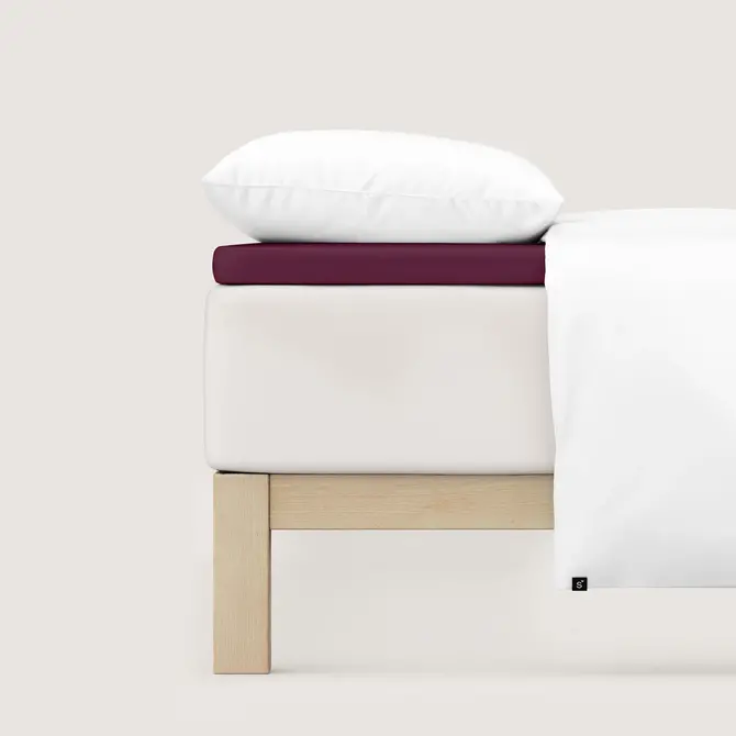 Schlafgut Pure Jersey Topper Drap-housse L - 140x200 - 160x220 542 Purple Deep