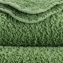 Abyss & Habidecor Abyss & Habidecor Super Pile Guest towel 30x50 205 forest